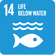 United Nations Sustainable Development Goal 14