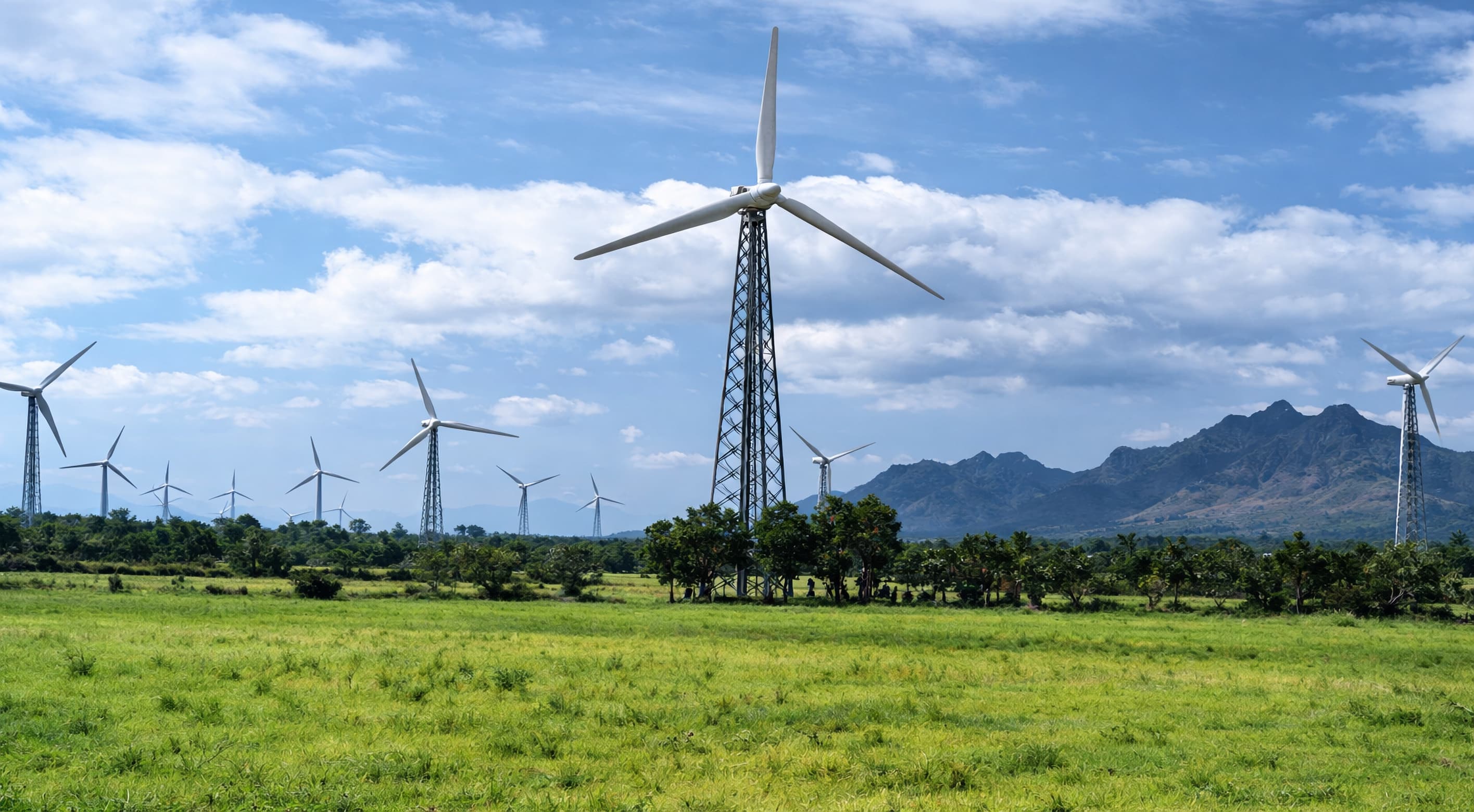 1994 - Renewable Energy & Industrial Textiles